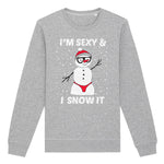 Sexy And I Snow It | Vintage Rocker Sweatshirt