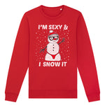 Sexy And I Snow It | Vintage Rocker Sweatshirt